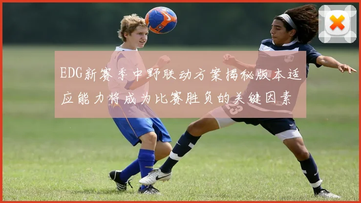EDG新赛季中野联动方案揭秘版本适应能力将成为比赛胜负的关键因素